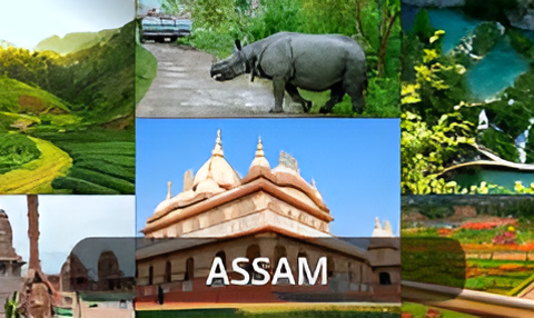 Explore Assam: Top 5 Unforgettable Places to Visit in Assam